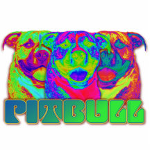 OPkunst Pitbull Fotoskulptur