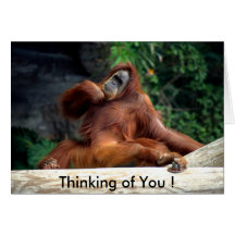 Orang-Utan, denkend an Sie! Grußkarten