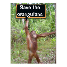 Orang-Utan Protest-Zeichen Postkarten