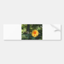 orange Blume Auto Sticker
