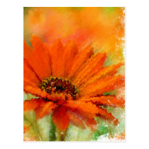 Orange Blume Postkarten