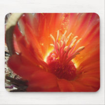 orange Fasskaktusblüte Mousepad