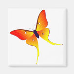 Orange Flammen-Schmetterlings-Quadrat-Magnet Kühlschrankmagnet