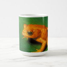 Orange Frosch Tassen
