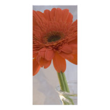 Orange Gänseblümchen-Hochzeits-Programm Personalisierte Werbekarte