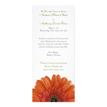 Orange Gerbera-Gänseblümchen-Hochzeits-Programm Ankündigung