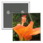 Orange Hibiskus Anstecknadelbutton