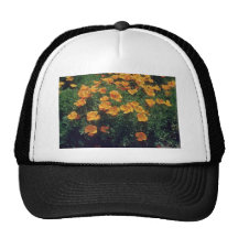 Orange Kalifornien-Mohnblume (Eschscholzia Califor Netzkappen
