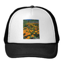 Orange Kalifornien-Mohnblumen-Blumen Netzmütze