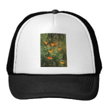 Orange Kalifornien-Mohnblumen Kult Mützen