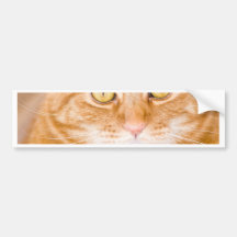 Orange Katze Autosticker