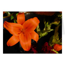 Orange Lilly Karte