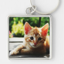 Orange Miezekatze keychain Schlüsselbänder