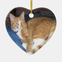 Orange Miezekatze Ornamente