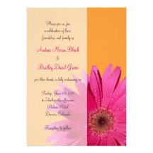 Orange mit rosa Gerbera-Gänseblümchen-Hochzeits-Ei
