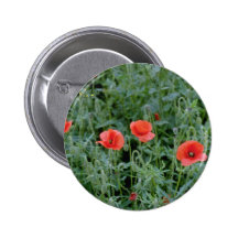 Orange Mohnblume-Blumen Buttons