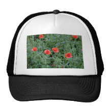 Orange Mohnblume-Blumen Kult Cap