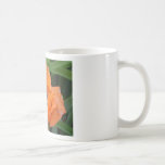 Orange Mohnblume Tassen