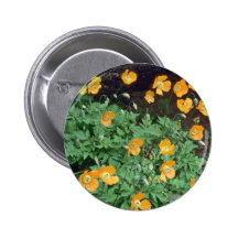 Orange Mohnblumen-Blumen Anstecknadelbuttons