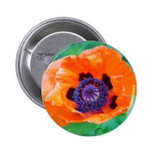 Orange Mohnblumen-Blumen-Knopf Buttons