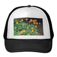 Orange Mohnblumen-Blumen Retrokult Cap