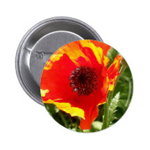 Orange Mohnblumen-Knopf Button