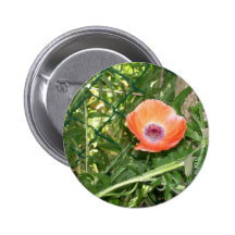 Orange Mohnblumen-Knopf Button