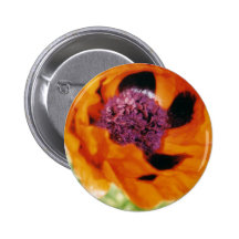 Orange Mohnblumen-Knopf Buttons