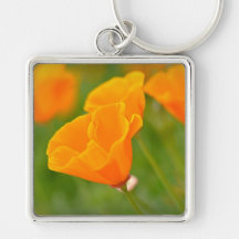 Orange Mohnblumen-MakroBlume Schlüsselanhänger