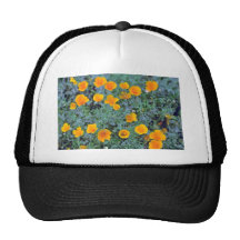 Orange obenliegende Blumen Kalifornien-Mohnblumen Truckercap
