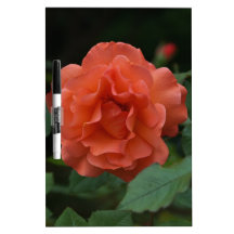 Orange Rose Dry-Erase Boards