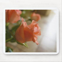 orange Rosen Mousepads