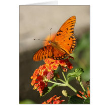 Orange Schmetterling Karte