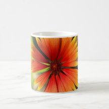 Orange Schönheits-Becher Kaffeetassen