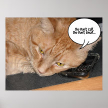 Orange Tabby-Katzen-Spaß Plakatdrucke