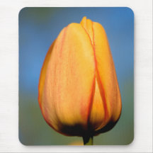 Orange Tulpe - Mousepad