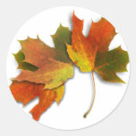 Orange u. gelber Herbstlaub Aufkleber