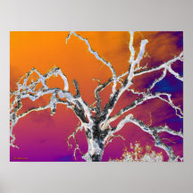 orange und roter Baum Posterdrucke
