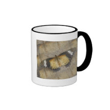 Orange und schwarze Motten-Kaffeetasse