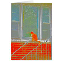 OrangeCat Karte