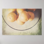 Orangen in einem Schüssel stilllife Plakat