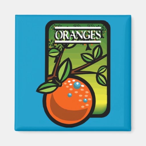 Orangen Magnete