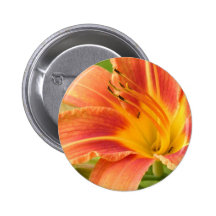 Orchidee Anstecknadelbuttons