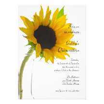 Orchidee auf weißer Quinceañera Party Einladung