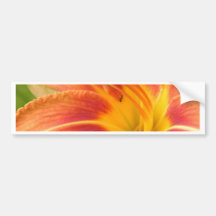 Orchidee Autosticker
