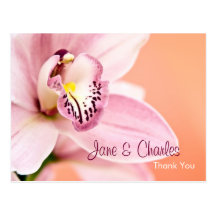 Orchidee • Danke Postkarte