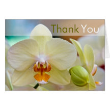 Orchidee • Danke zu kardieren Karten
