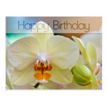 Orchidee • Geburtstags-Postkarte