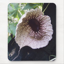 Orchidee Mousepad