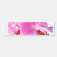 Orchideen Auto Aufkleber